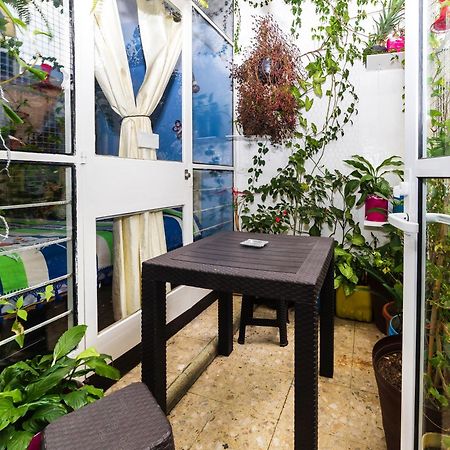 מקסיקו סיטי Casa Itzae B&B Polanquito Dog Friendly מראה חיצוני תמונה