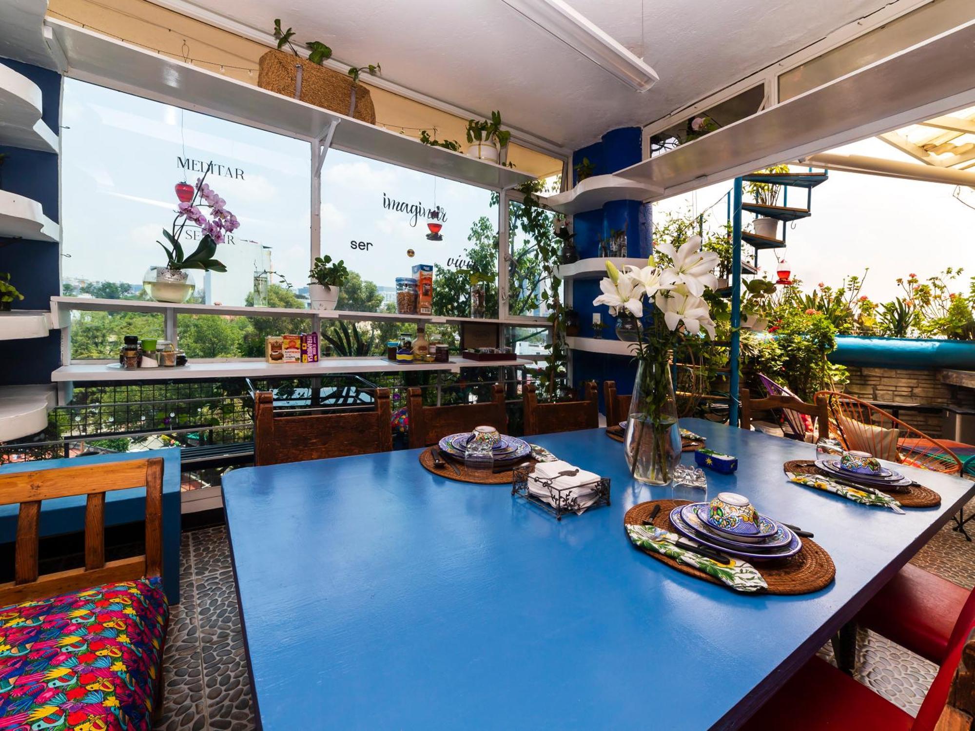 מקסיקו סיטי Casa Itzae B&B Polanquito Dog Friendly מראה חיצוני תמונה