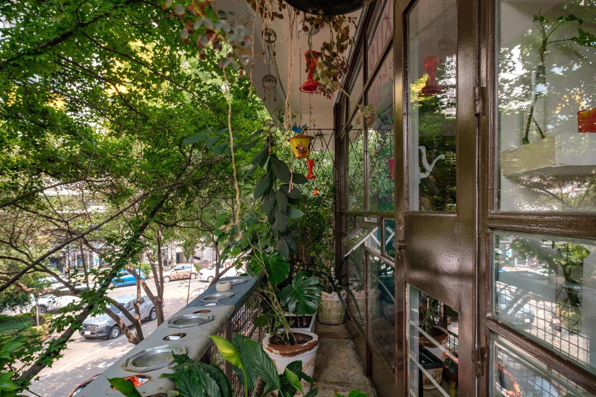 מקסיקו סיטי Casa Itzae B&B Polanquito Dog Friendly מראה חיצוני תמונה