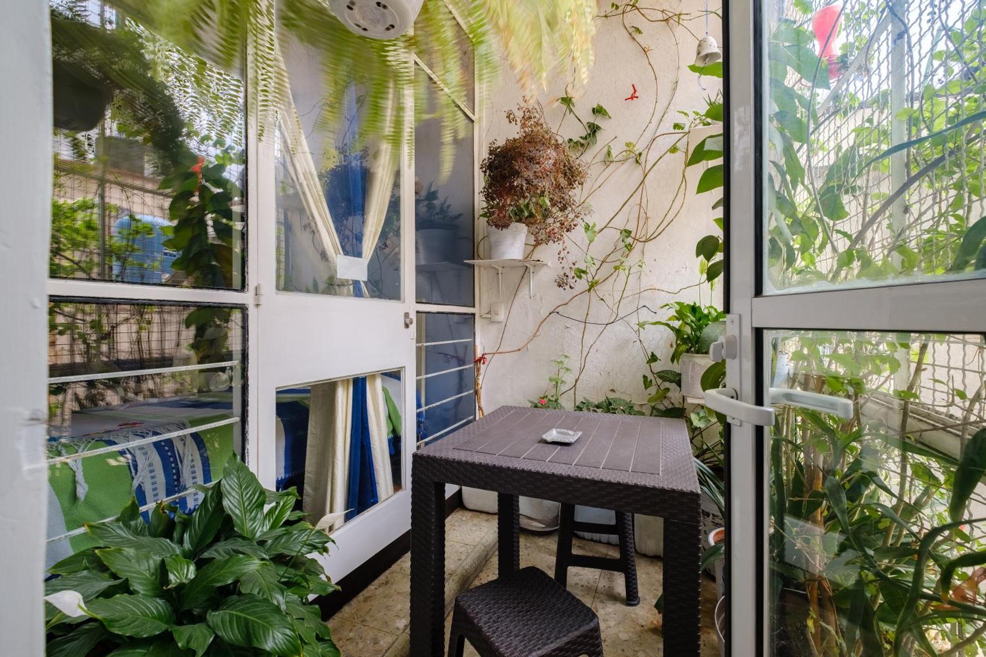 מקסיקו סיטי Casa Itzae B&B Polanquito Dog Friendly מראה חיצוני תמונה