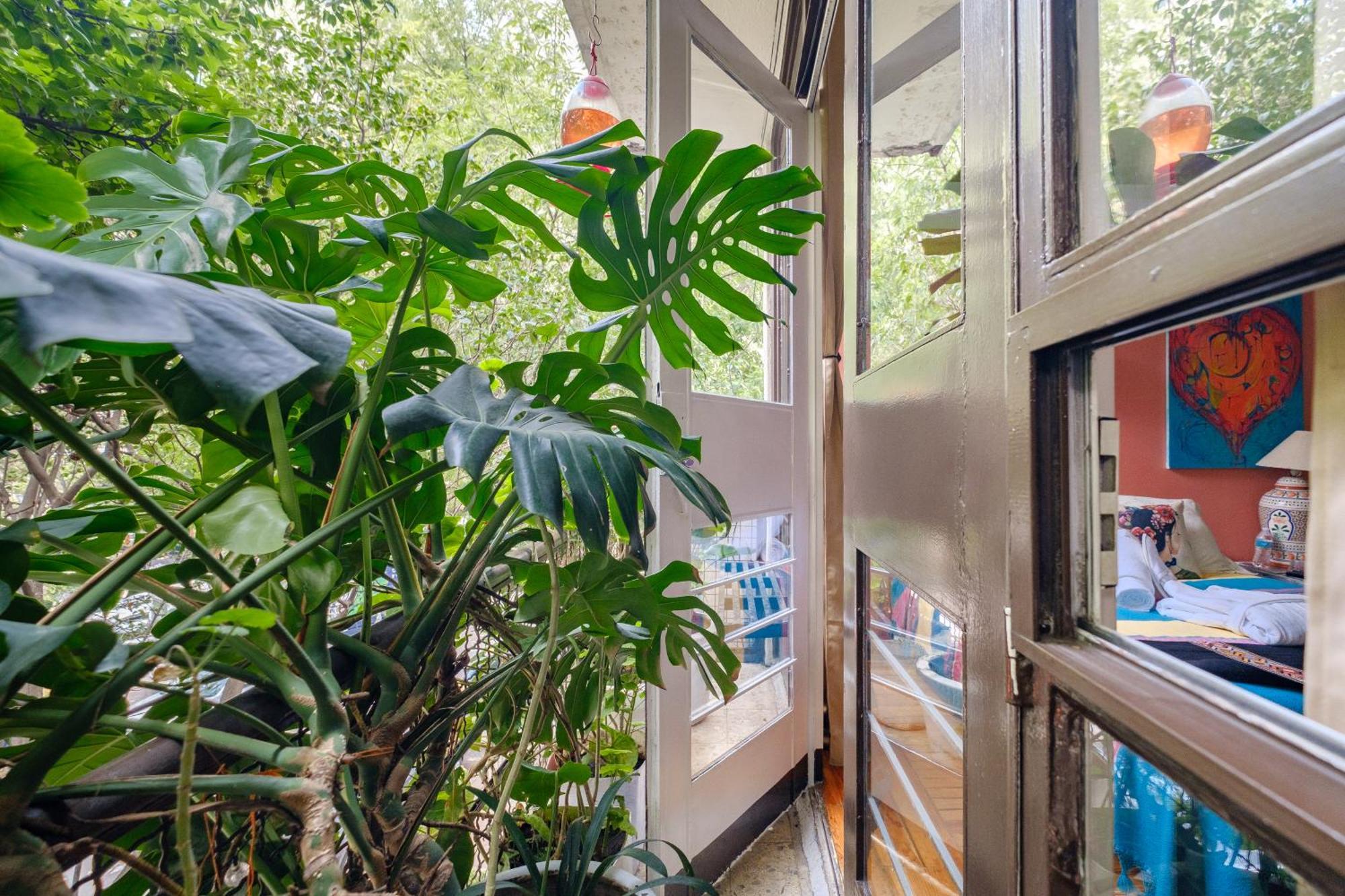 מקסיקו סיטי Casa Itzae B&B Polanquito Dog Friendly מראה חיצוני תמונה